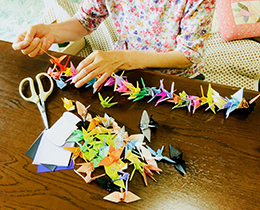 ���� �� ���� �̹���