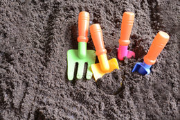 ���� �� ���� �̹���