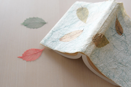 ���� �� ���� �̹���