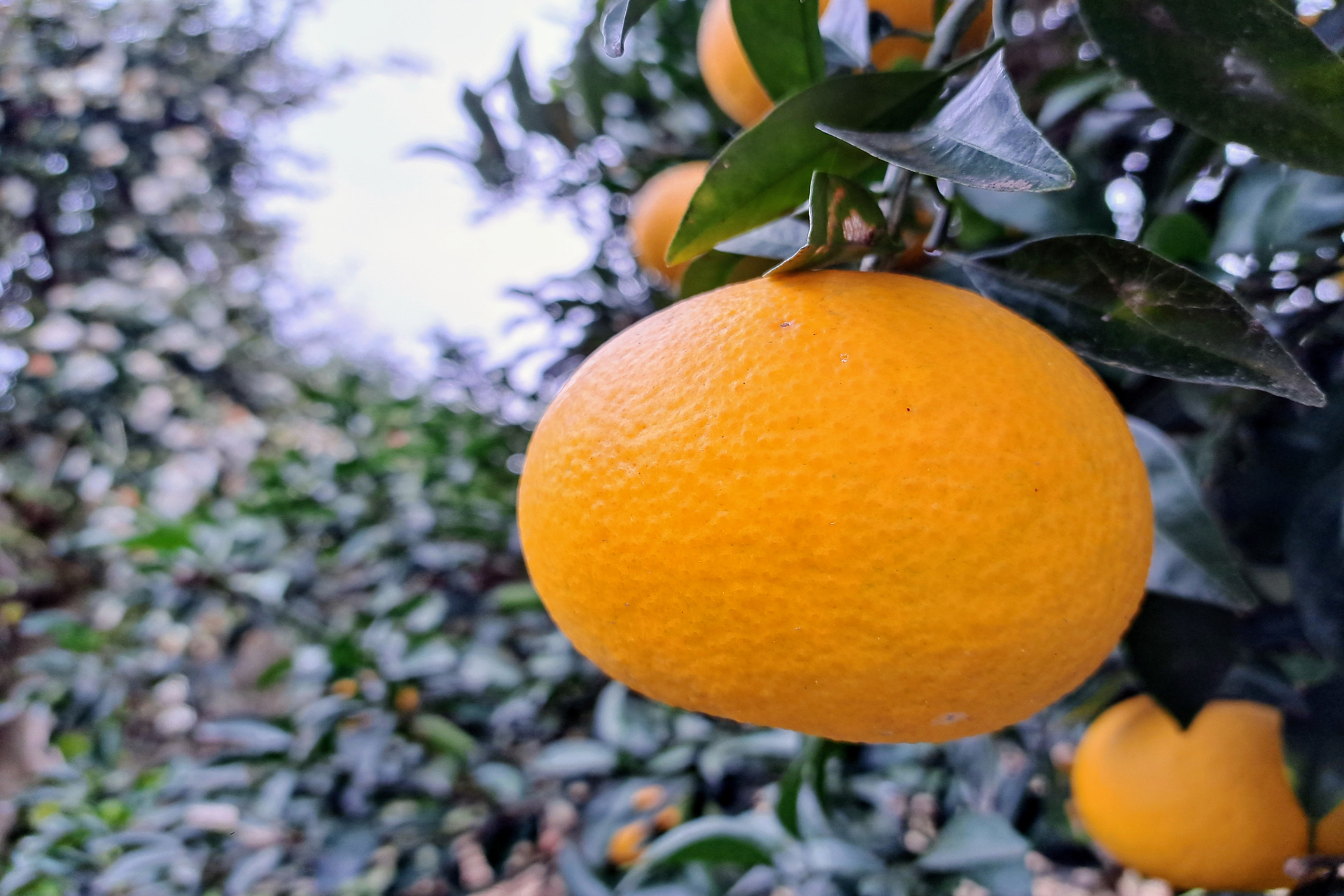 ���� �� ���� �̹���