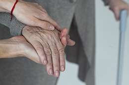 ���� �� ����