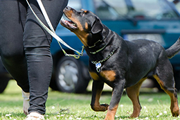 ���� �� ���� �̹���