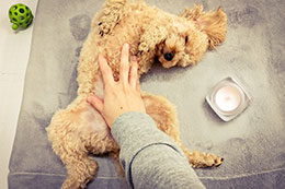 ���� �� ���� �̹���