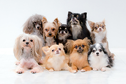 ���� �� ����