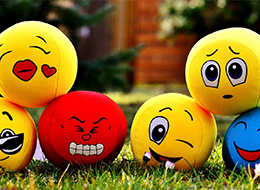 ���� �� ���� �̹���