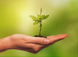 ���� �� ���� �̹���