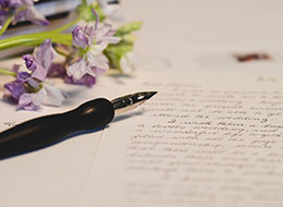 ���� �� ���� �̹���