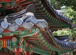 ���� �� ����