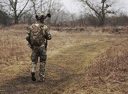 ���� �� ���� �̹���