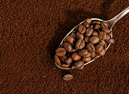 ���� �� ����