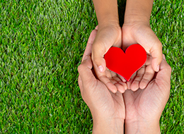 ���� �� ���� �̹���