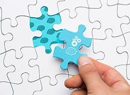 ���� �� ���� �̹���