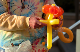 ���� �� ���� �̹���