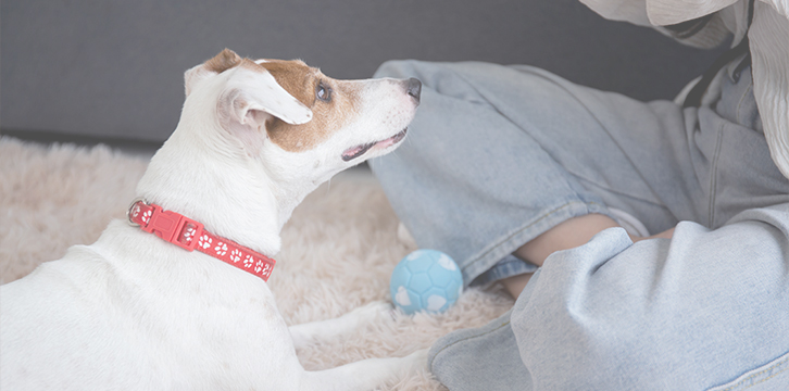 ����� ���� �̹���