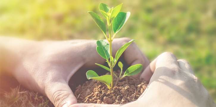 ź���߸����������� ���� �̹���