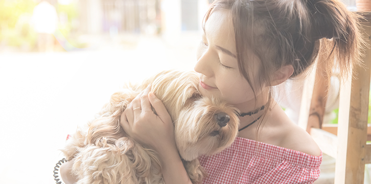 �ݷ������Ű��ɸ����� ���� �̹���