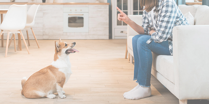 �ݷ����������� ���� �̹���