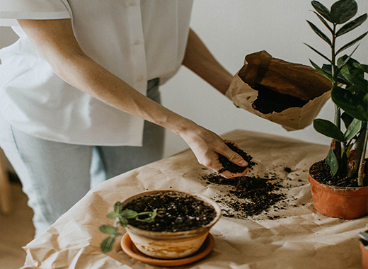 �ֿ� Ȱ��ó �̹���