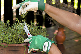 �ֿ� Ȱ��ó �̹���