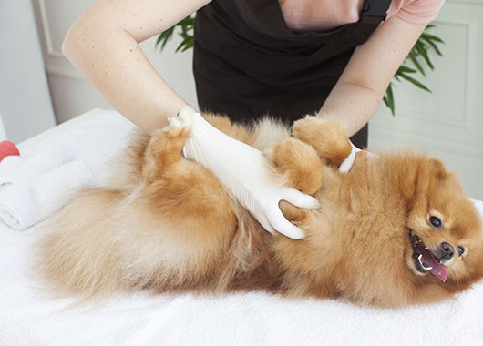 �ֿ� Ȱ��ó �̹���