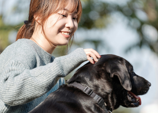 �ֿ� Ȱ��ó �̹���