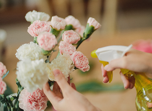 �ֿ� Ȱ��ó �̹���